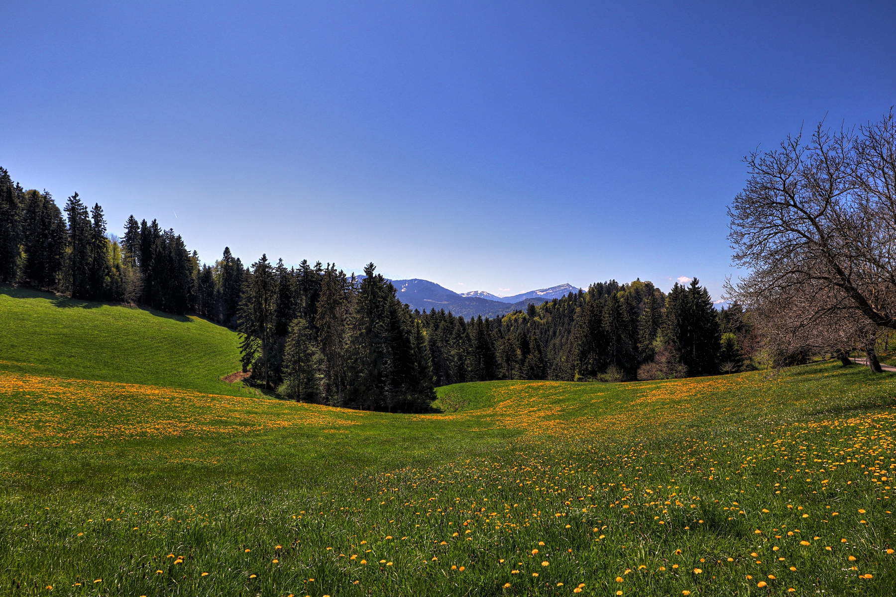 IMG_0006-hdr.jpg