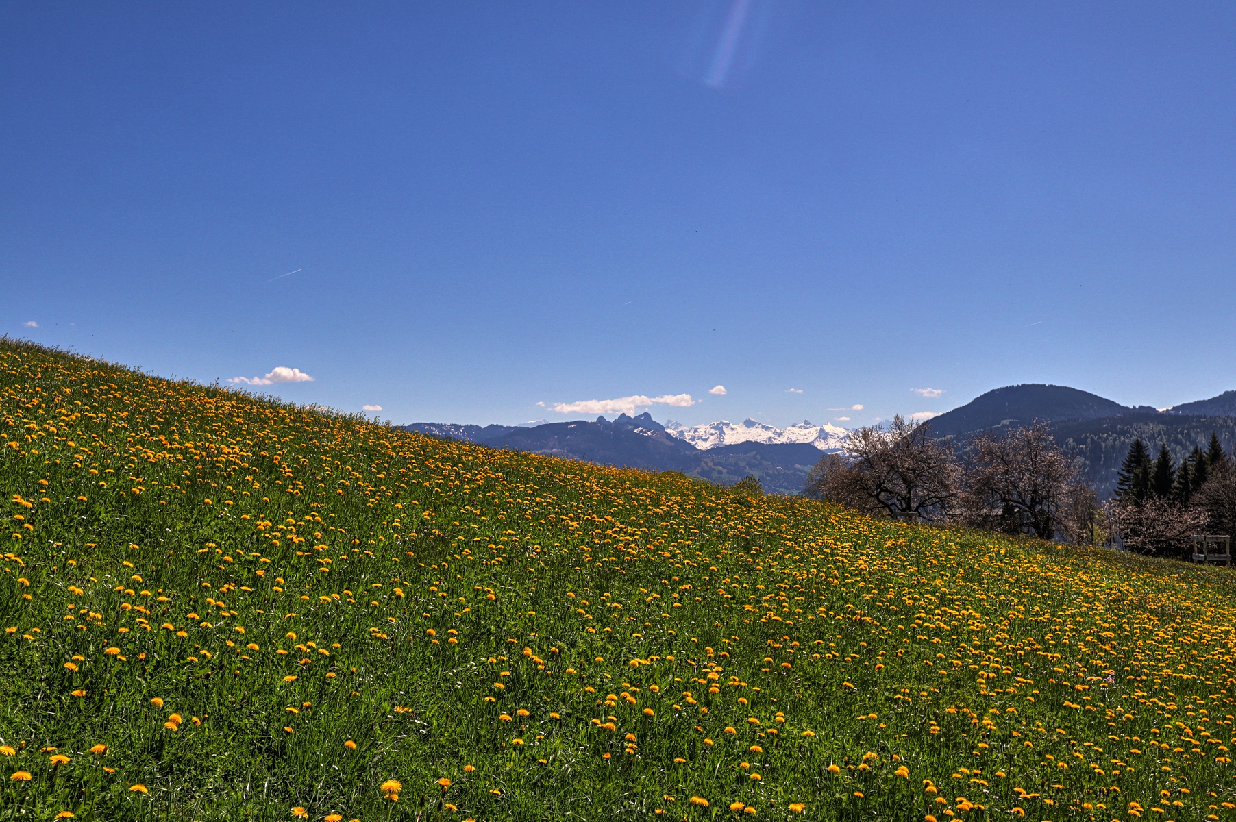 IMG_0012-hdr.jpg