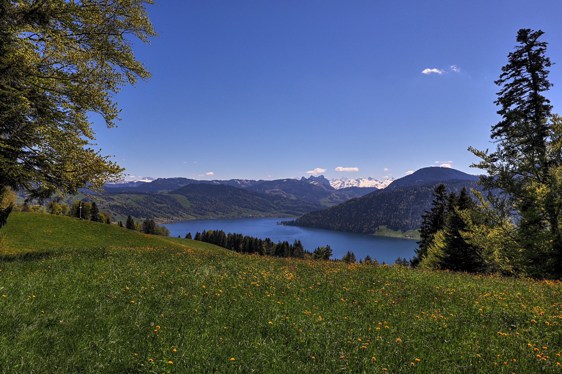 IMG_0018-hdr.jpg