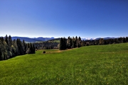 IMG_0000b-hdr.jpg