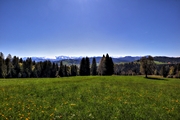 IMG_0000c-hdr.jpg