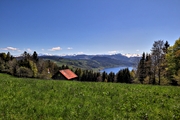 IMG_0000j-hdr.jpg