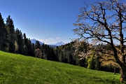 IMG_0003-hdr.jpg