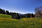 IMG_0006-hdr.jpg