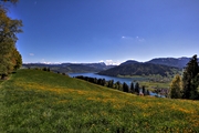 IMG_0021-hdr.jpg