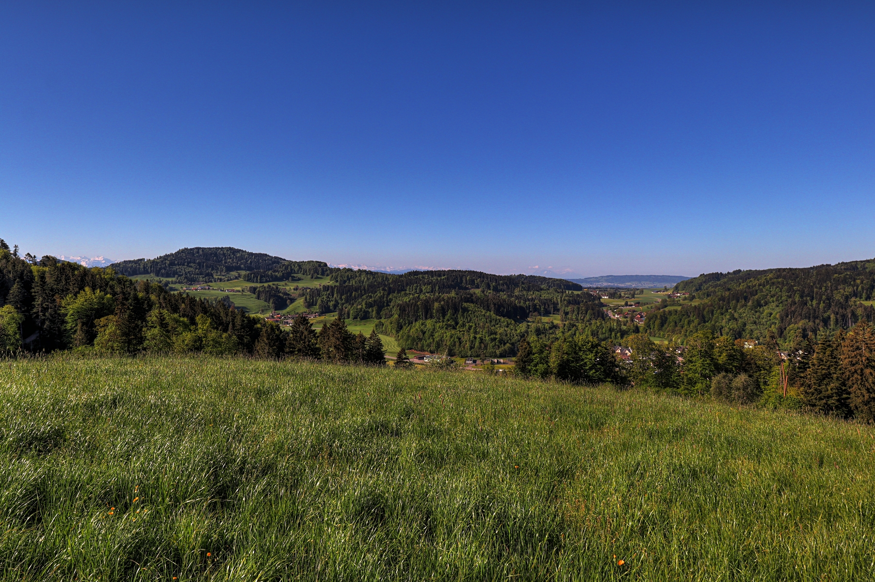 IMG_0045-hdr.jpg