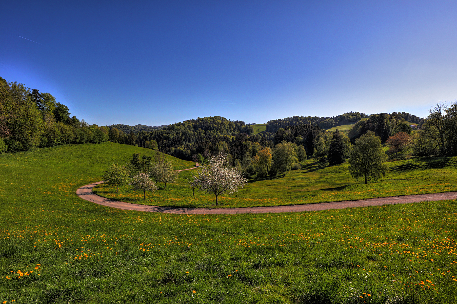 IMG_0054-hdr.jpg