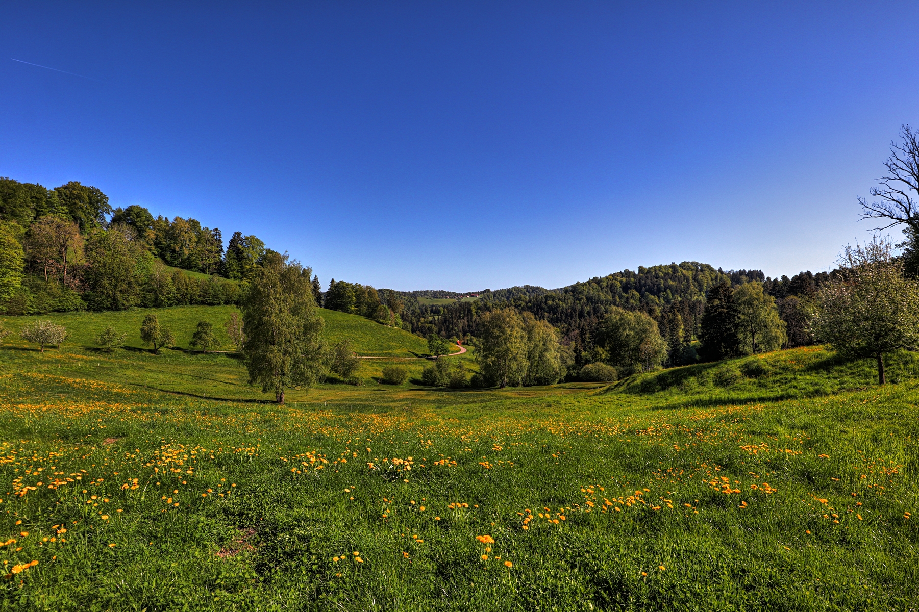 IMG_0057-hdr.jpg