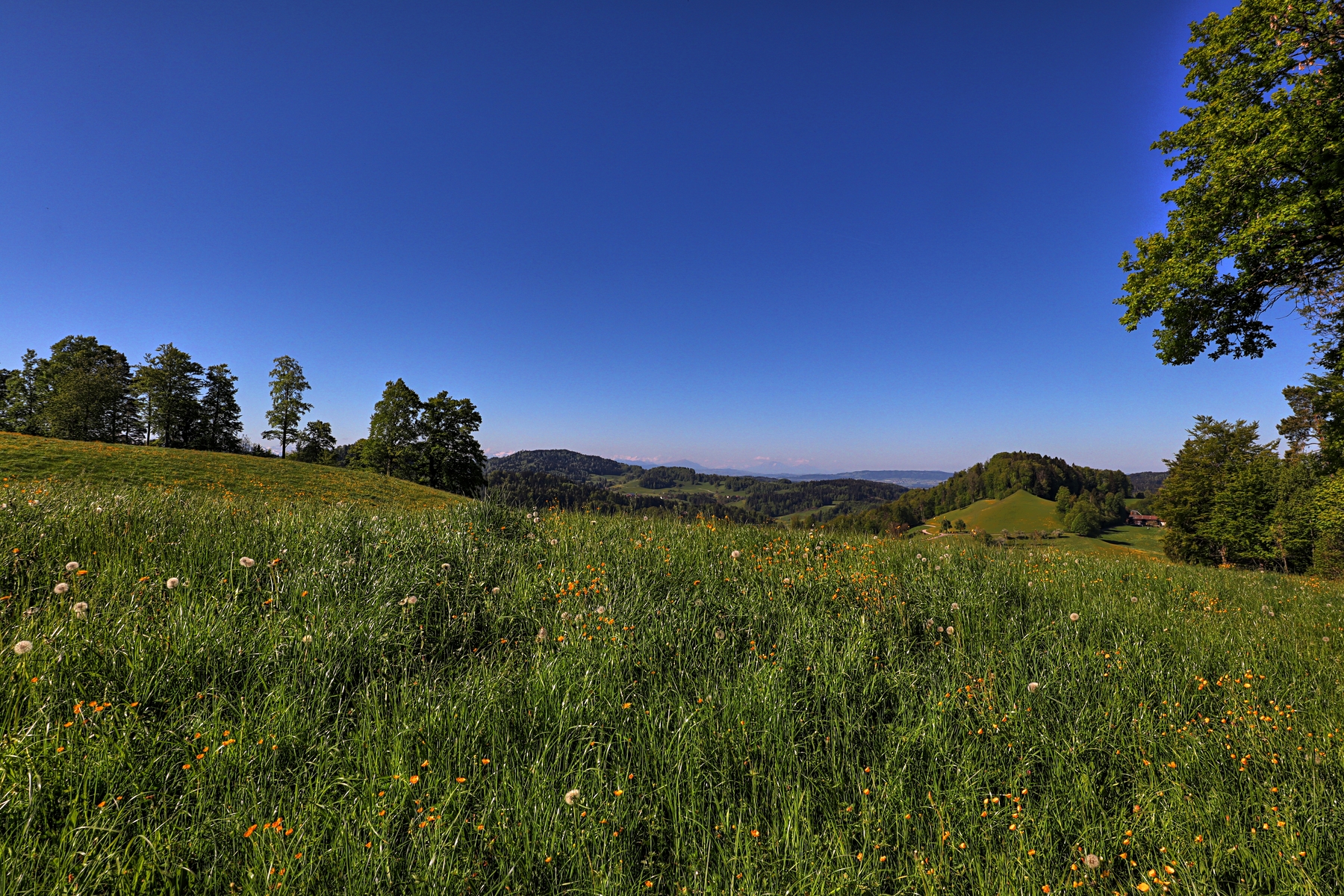 IMG_0066-hdr.jpg