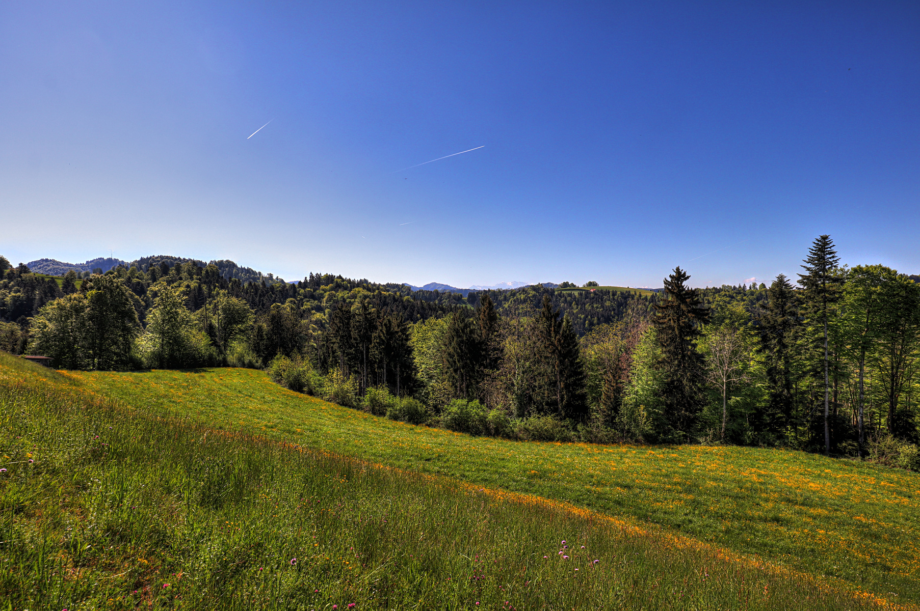 IMG_0075-hdr.jpg
