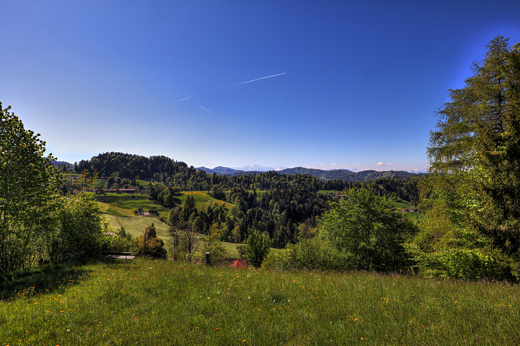 IMG_0081-hdr.jpg