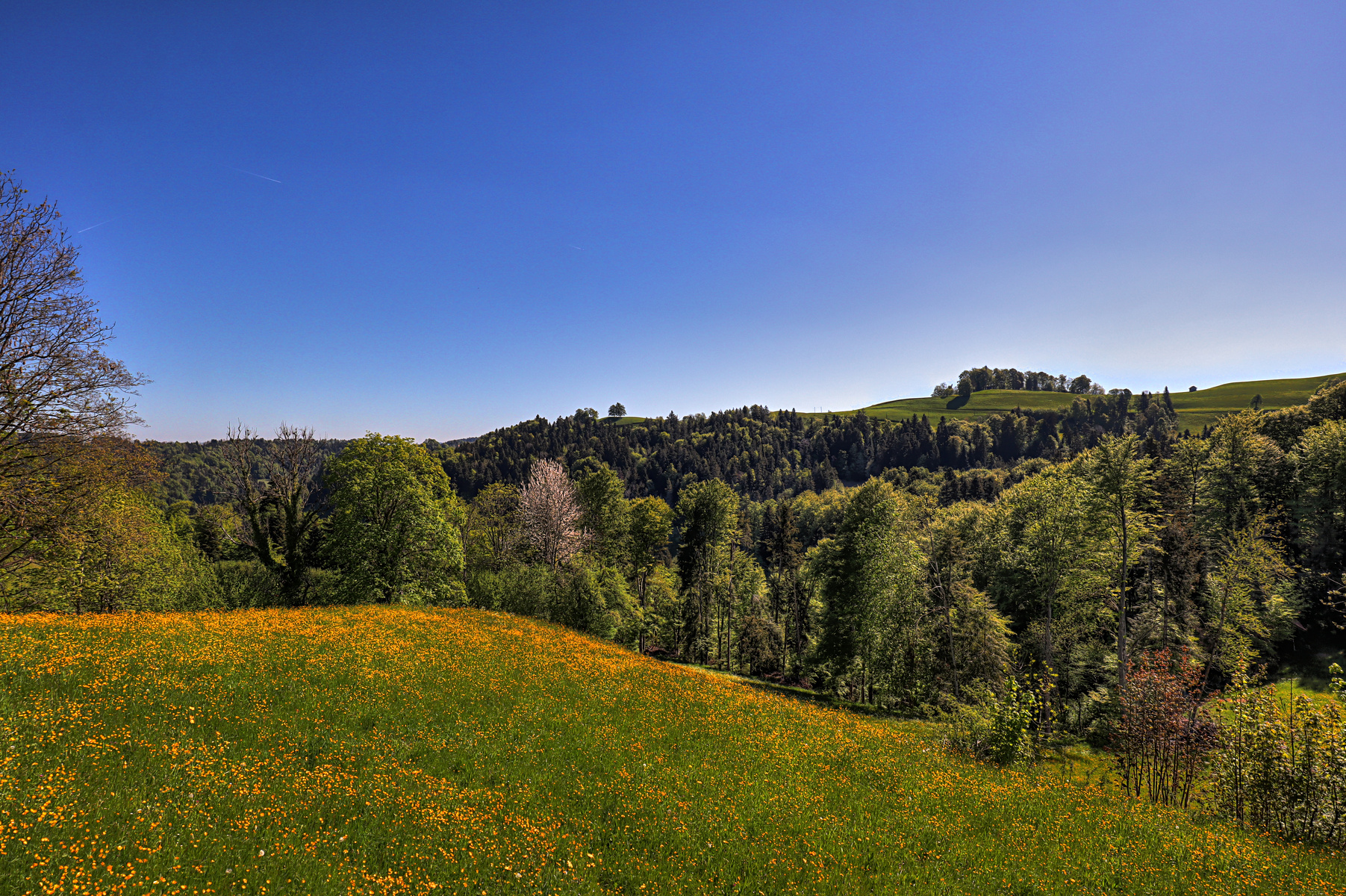 IMG_0084-hdr.jpg