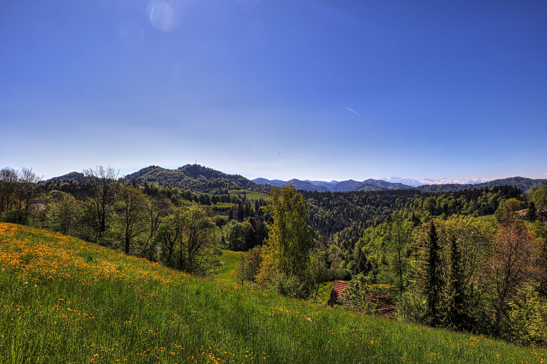 IMG_0087-hdr.jpg