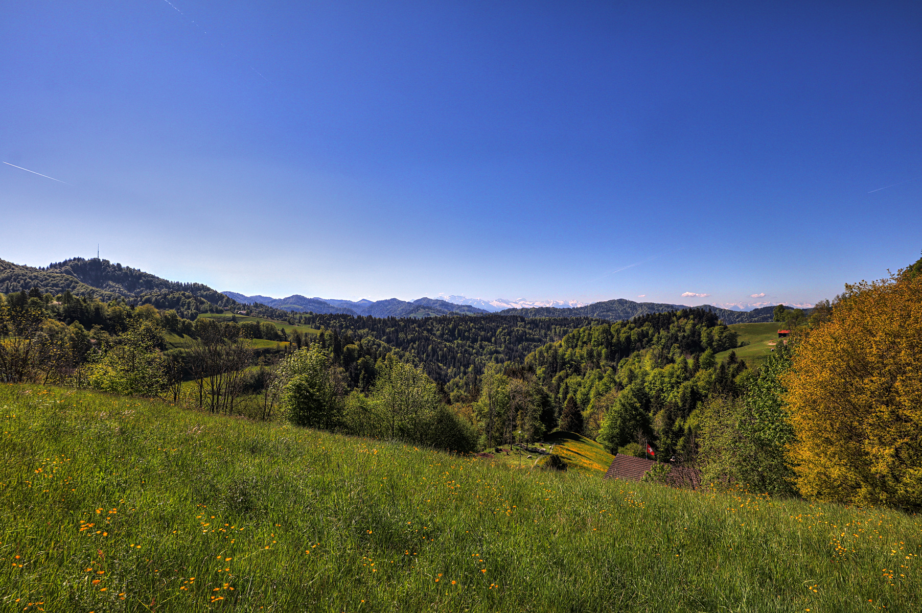 IMG_0090-hdr.jpg