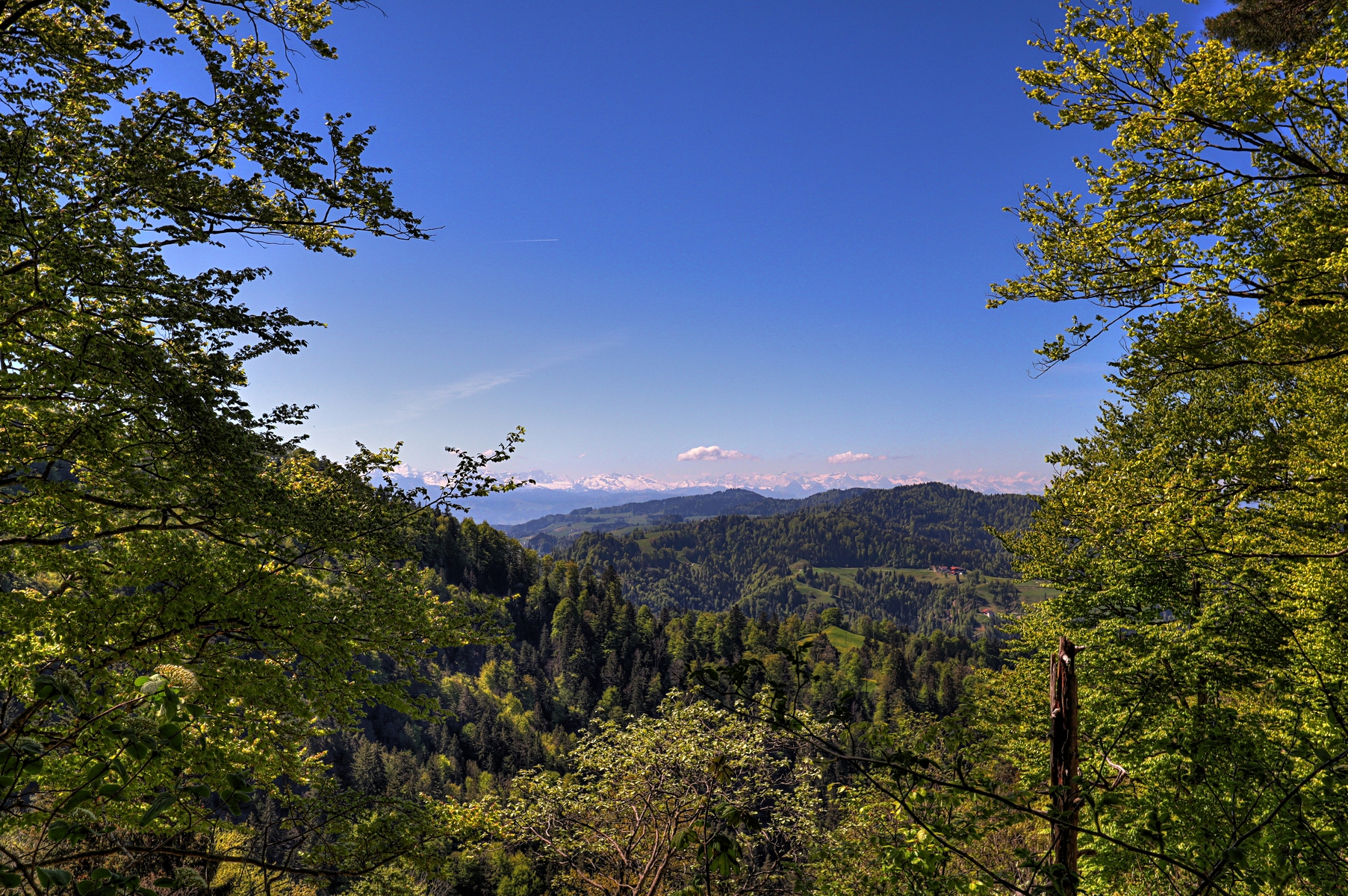 IMG_0108-hdr.jpg