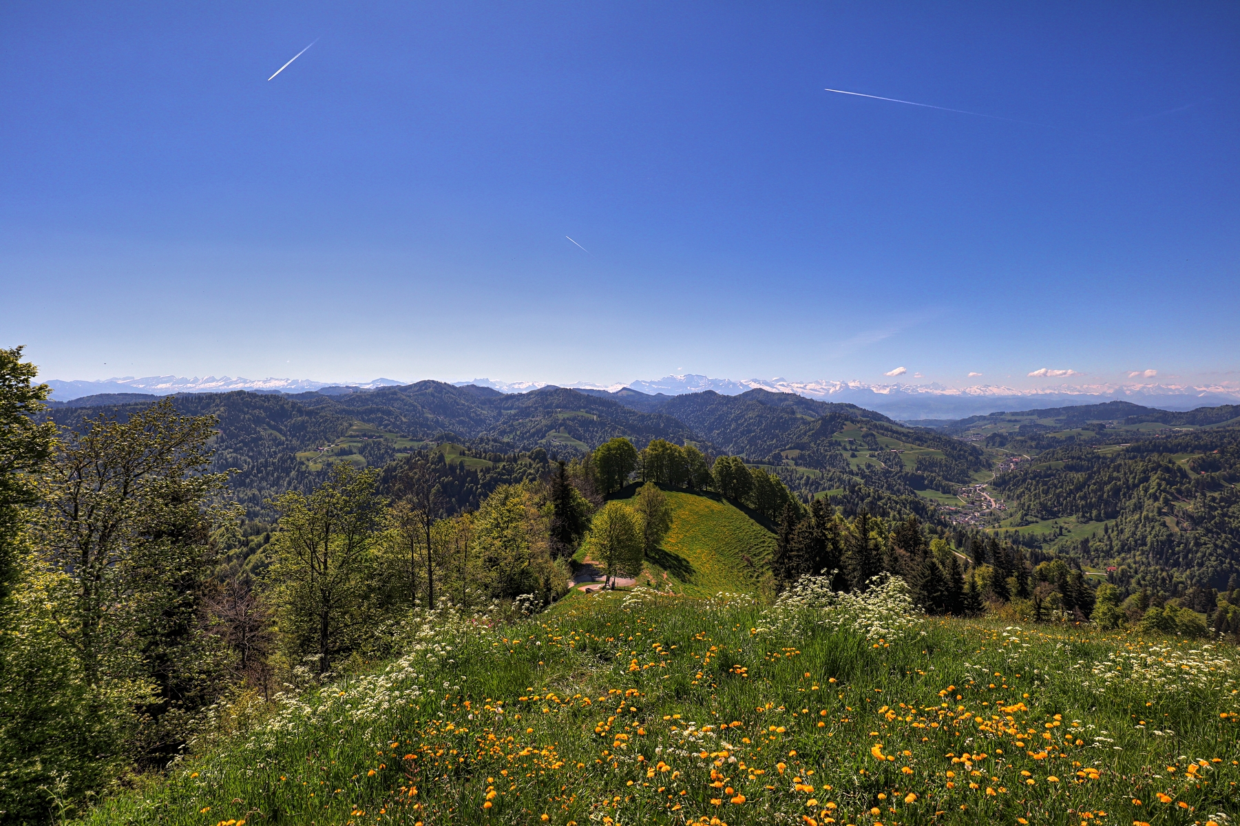 IMG_0138-hdr.jpg