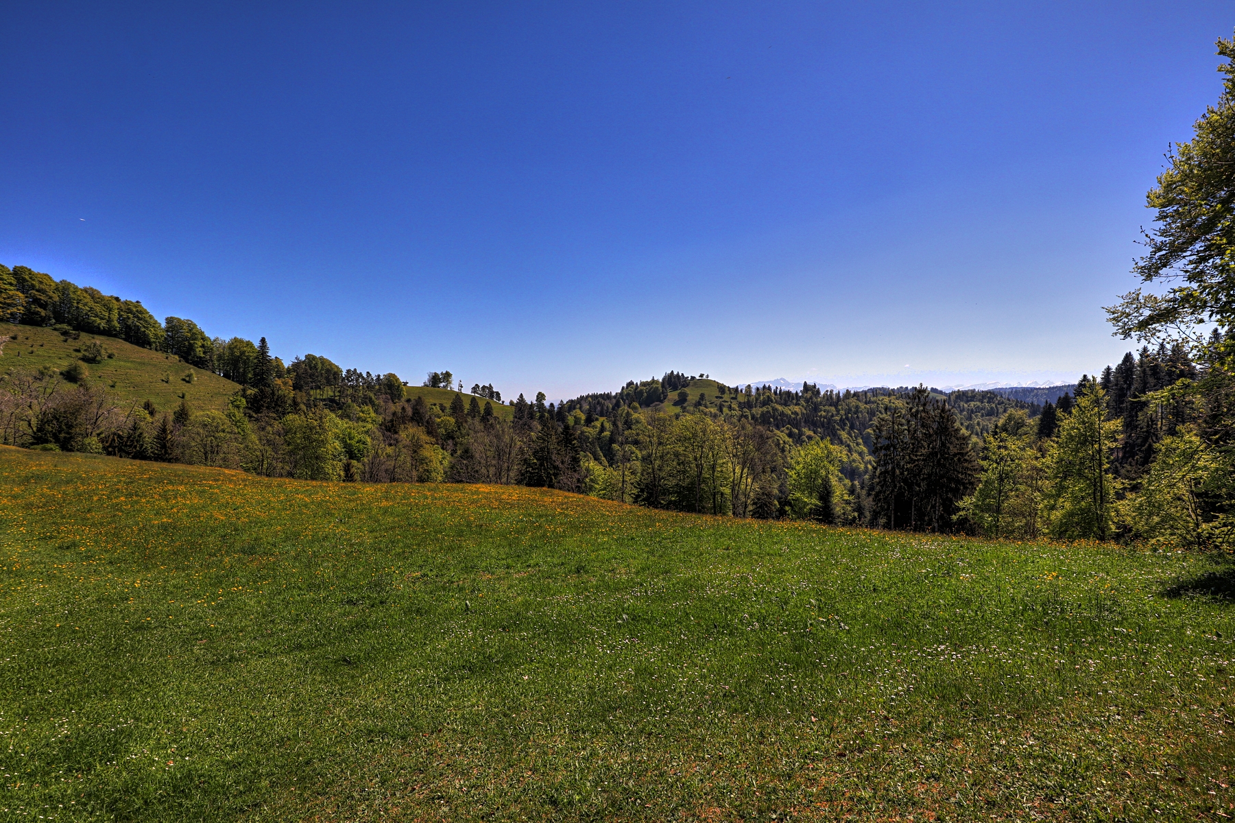 IMG_0141-hdr.jpg