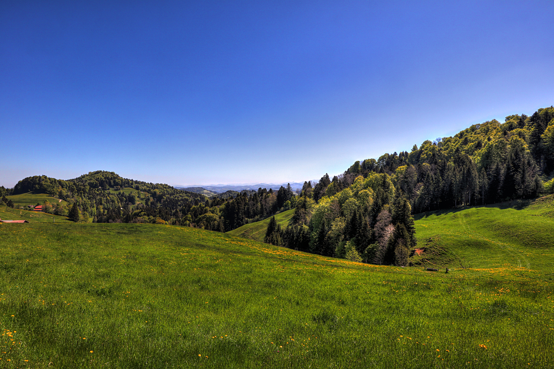 IMG_0147-hdr.jpg