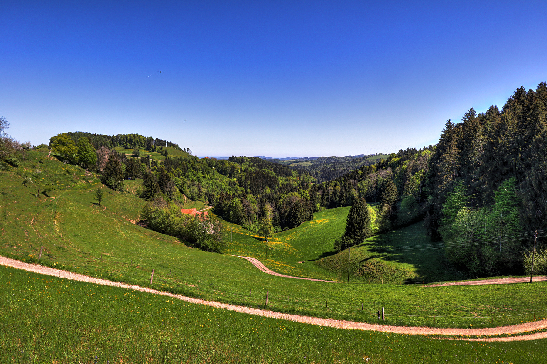 IMG_0159-hdr.jpg