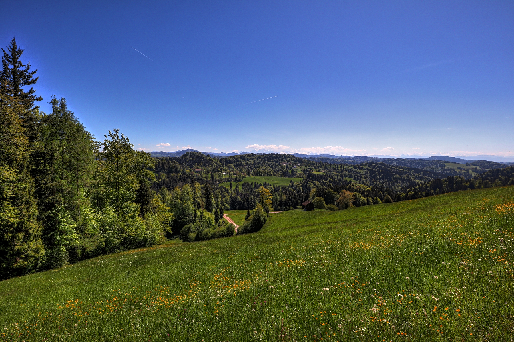 IMG_0174-hdr.jpg