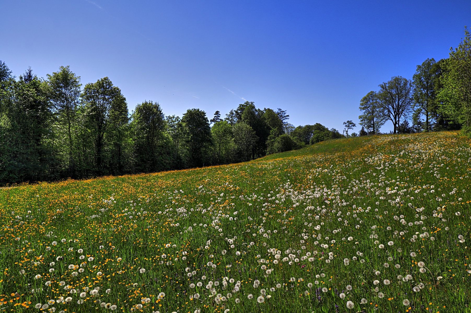 IMG_0192-hdr.jpg