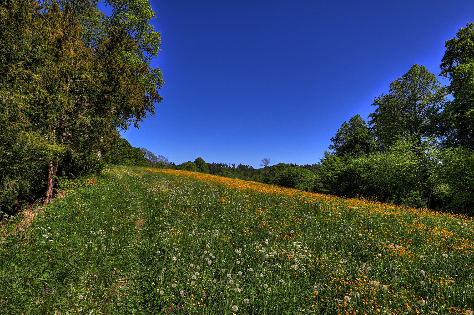 IMG_0195-hdr.jpg