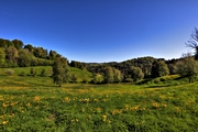 IMG_0057-hdr.jpg