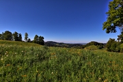 IMG_0066-hdr.jpg