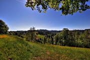 IMG_0069-hdr.jpg