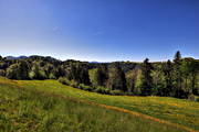 IMG_0075-hdr.jpg