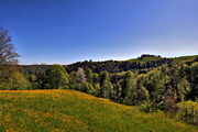 IMG_0084-hdr.jpg