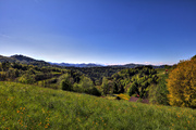 IMG_0090-hdr.jpg