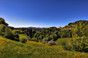 IMG_0093-hdr.jpg