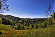 IMG_0096-hdr.jpg