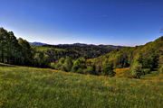 IMG_0099-hdr.jpg