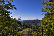 IMG_0108-hdr.jpg