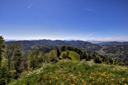 IMG_0138-hdr.jpg