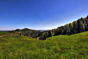 IMG_0144-hdr.jpg