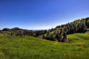 IMG_0147-hdr.jpg