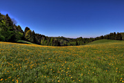 IMG_0162-hdr.jpg
