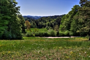 IMG_0171-hdr.jpg
