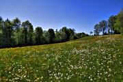IMG_0192-hdr.jpg