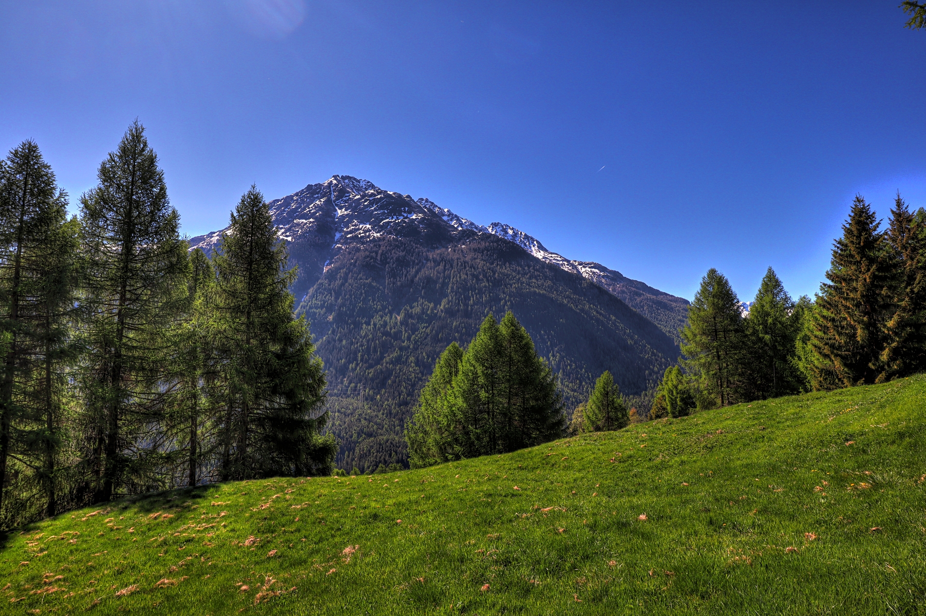 IMG_0201-hdr.jpg