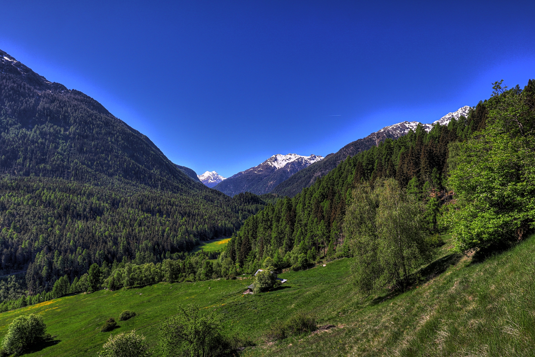 IMG_0207-hdr.jpg