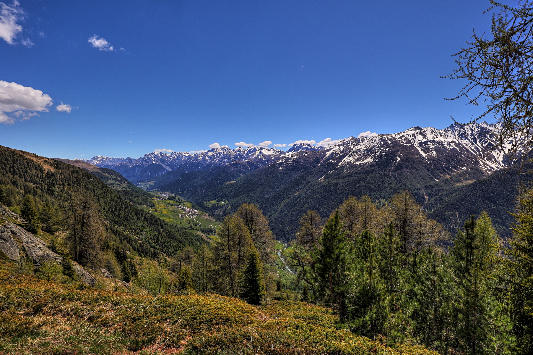 IMG_0237-hdr.jpg
