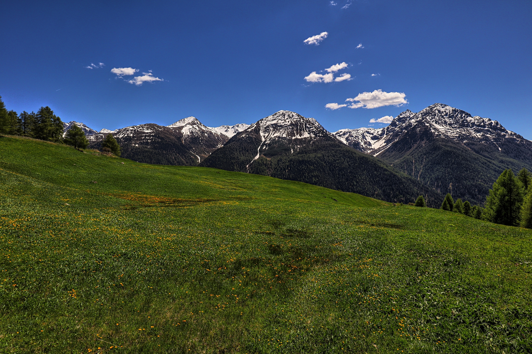 IMG_0285-hdr.jpg