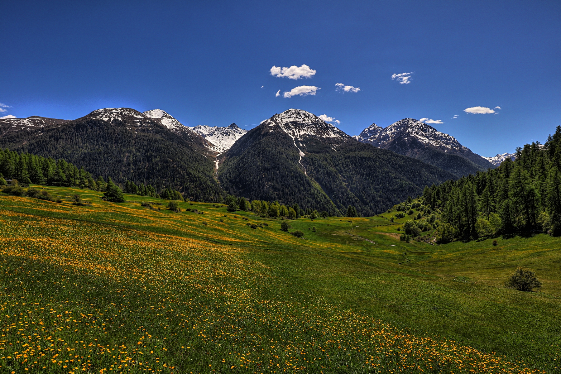 IMG_0291-hdr.jpg