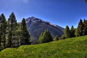 IMG_0201-hdr.jpg