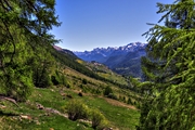 IMG_0225-hdr.jpg