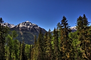 IMG_0228-hdr.jpg